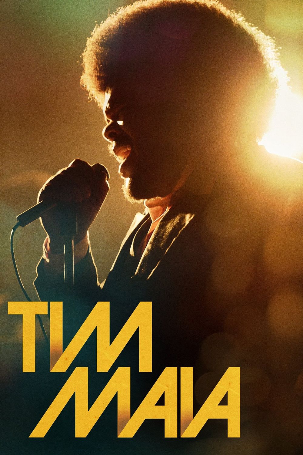 Poster of the movie Tim Maia