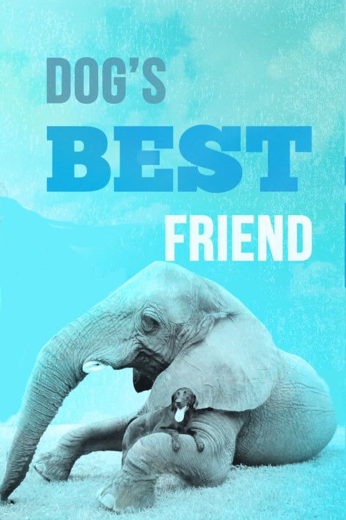 Poster of Dog's Best Friend