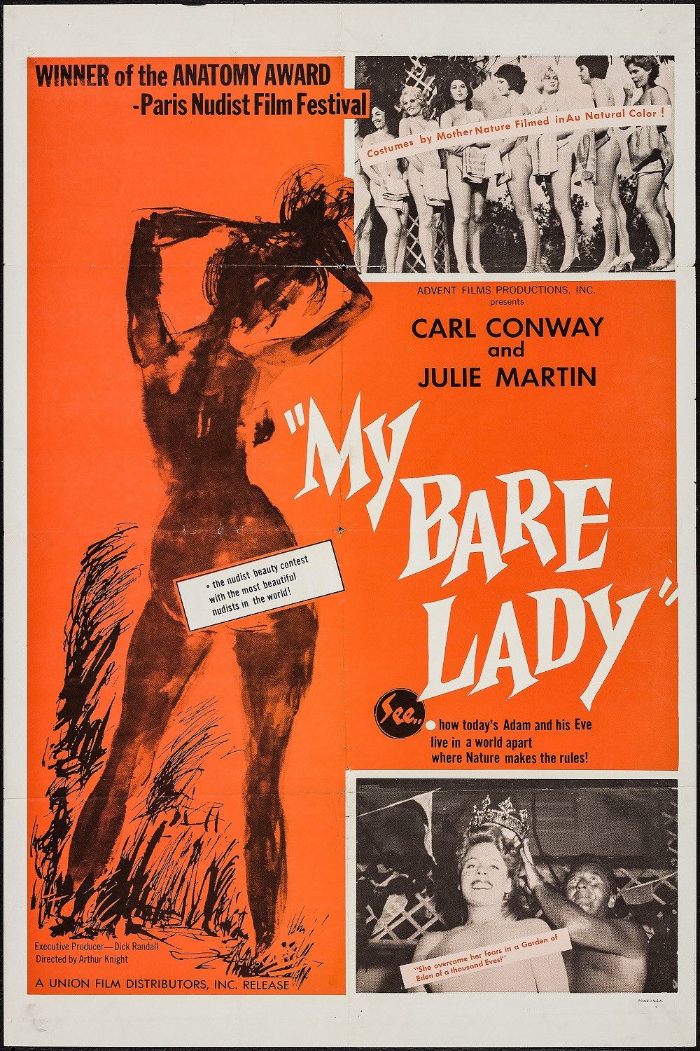 Poster of the movie My Bare Lady