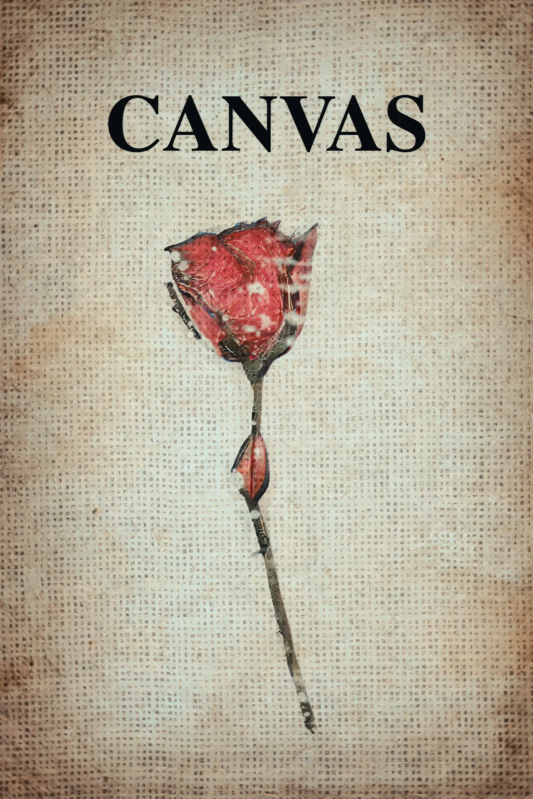 Poster for Canvas