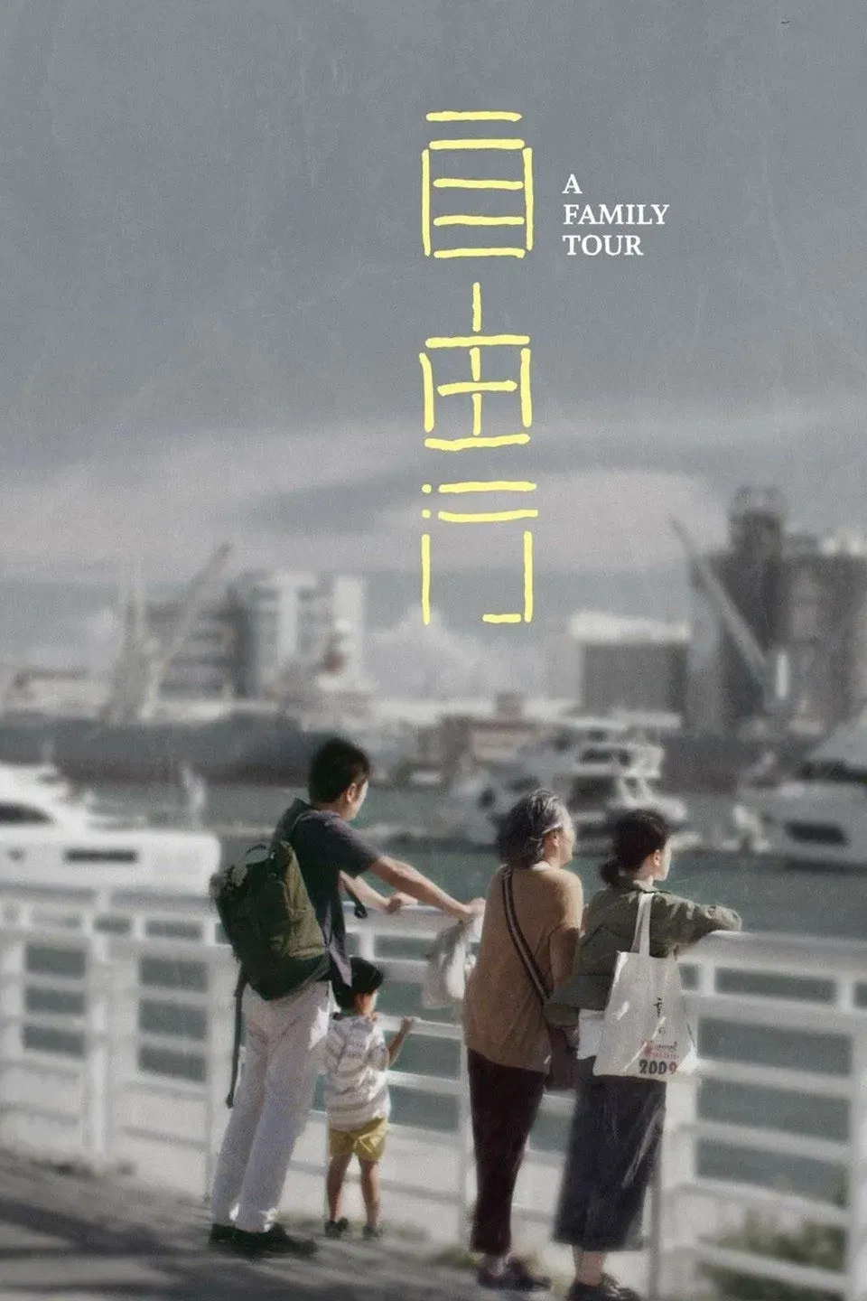 Poster of the movie A Family Tour