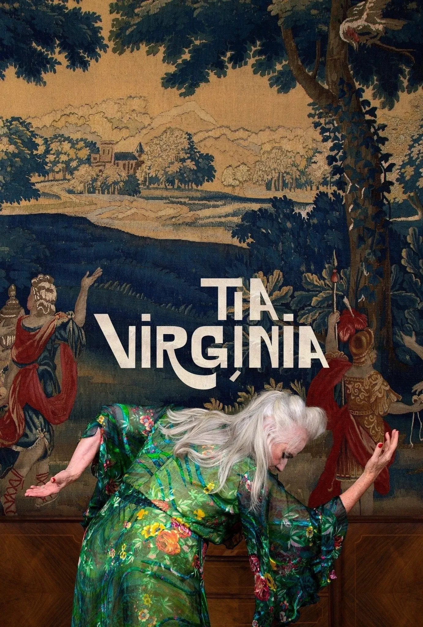 Poster of the movie Aunt Virginia
