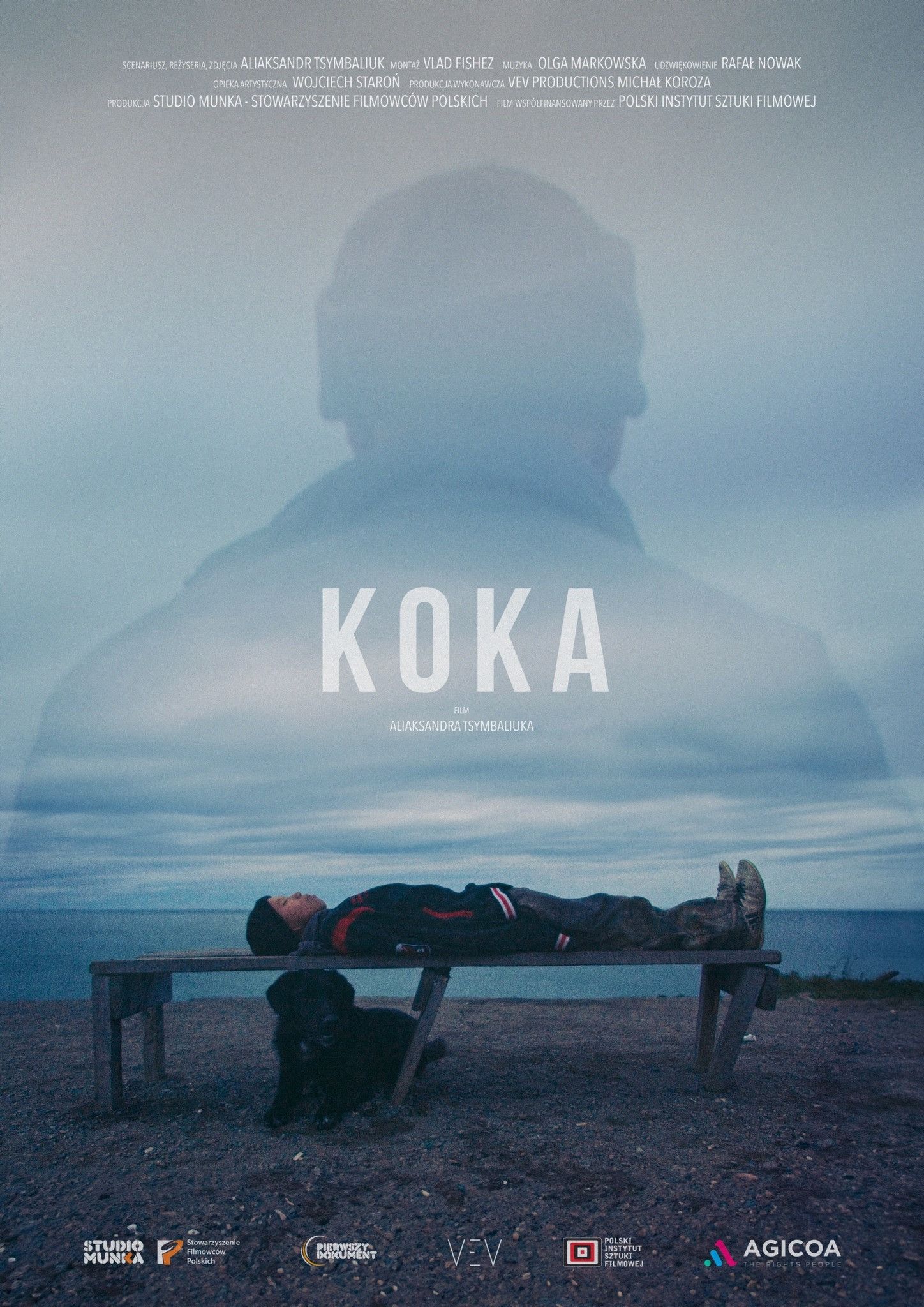Poster of the movie Koka