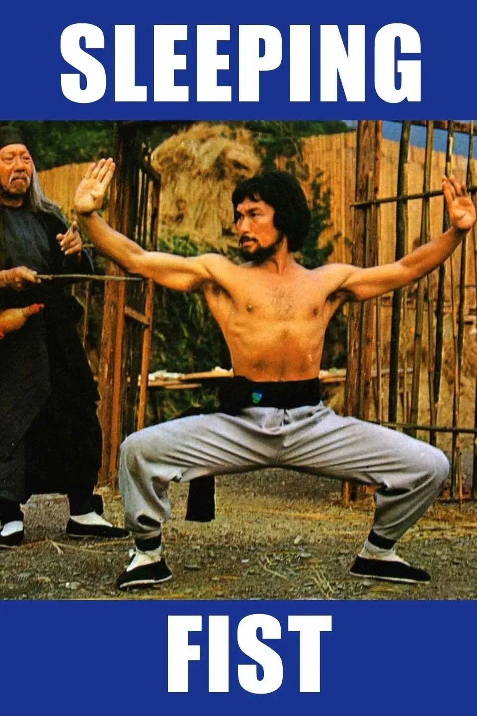 Poster of the movie Sleeping Fist