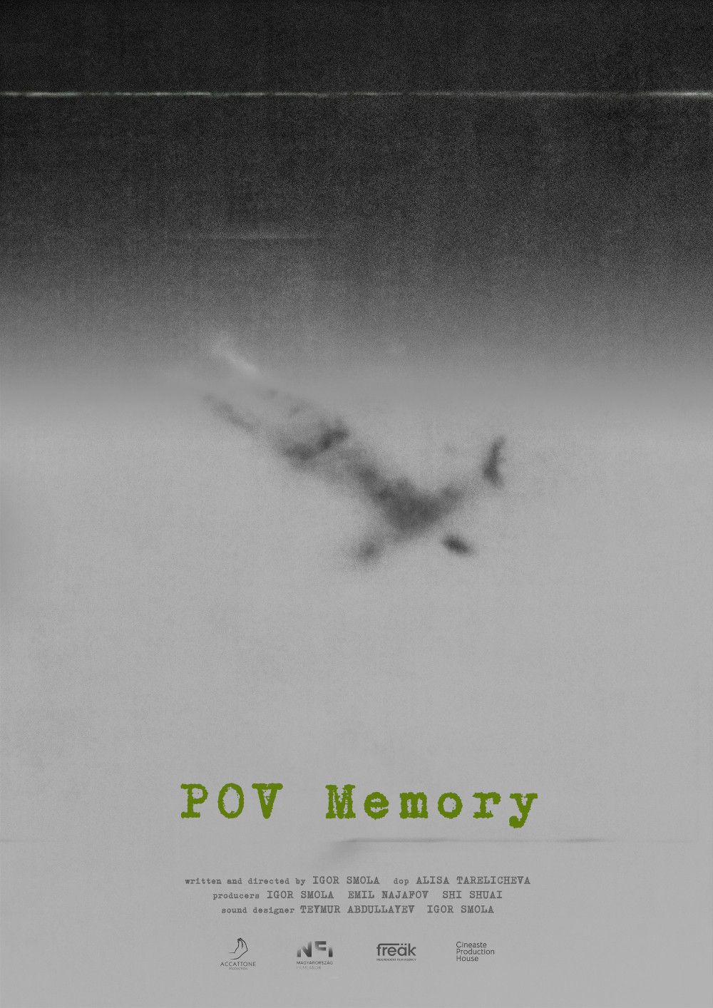 Poster for POV Memory