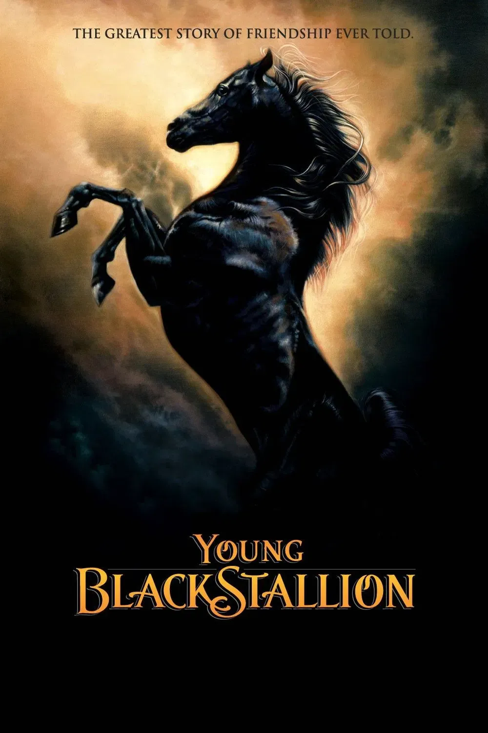 Poster of the movie Young Black Stallion