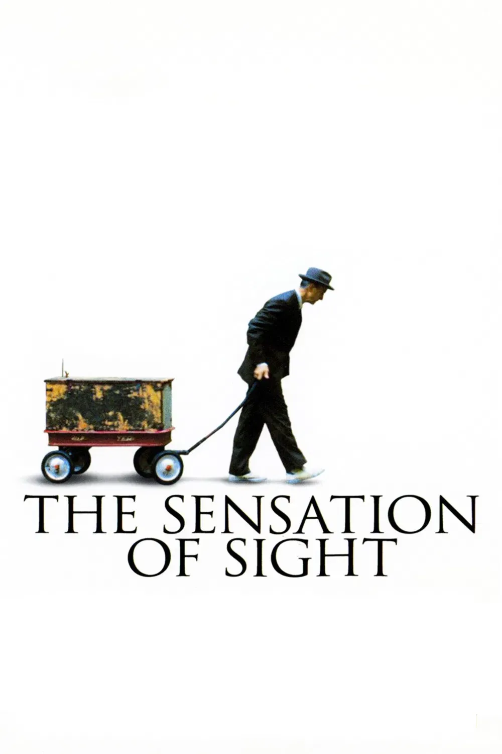 Poster of the movie The Sensation of Sight