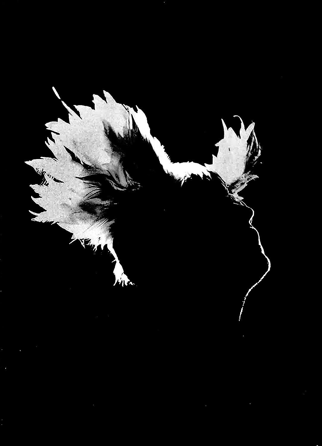 Poster of the movie M - Les saisons de passage