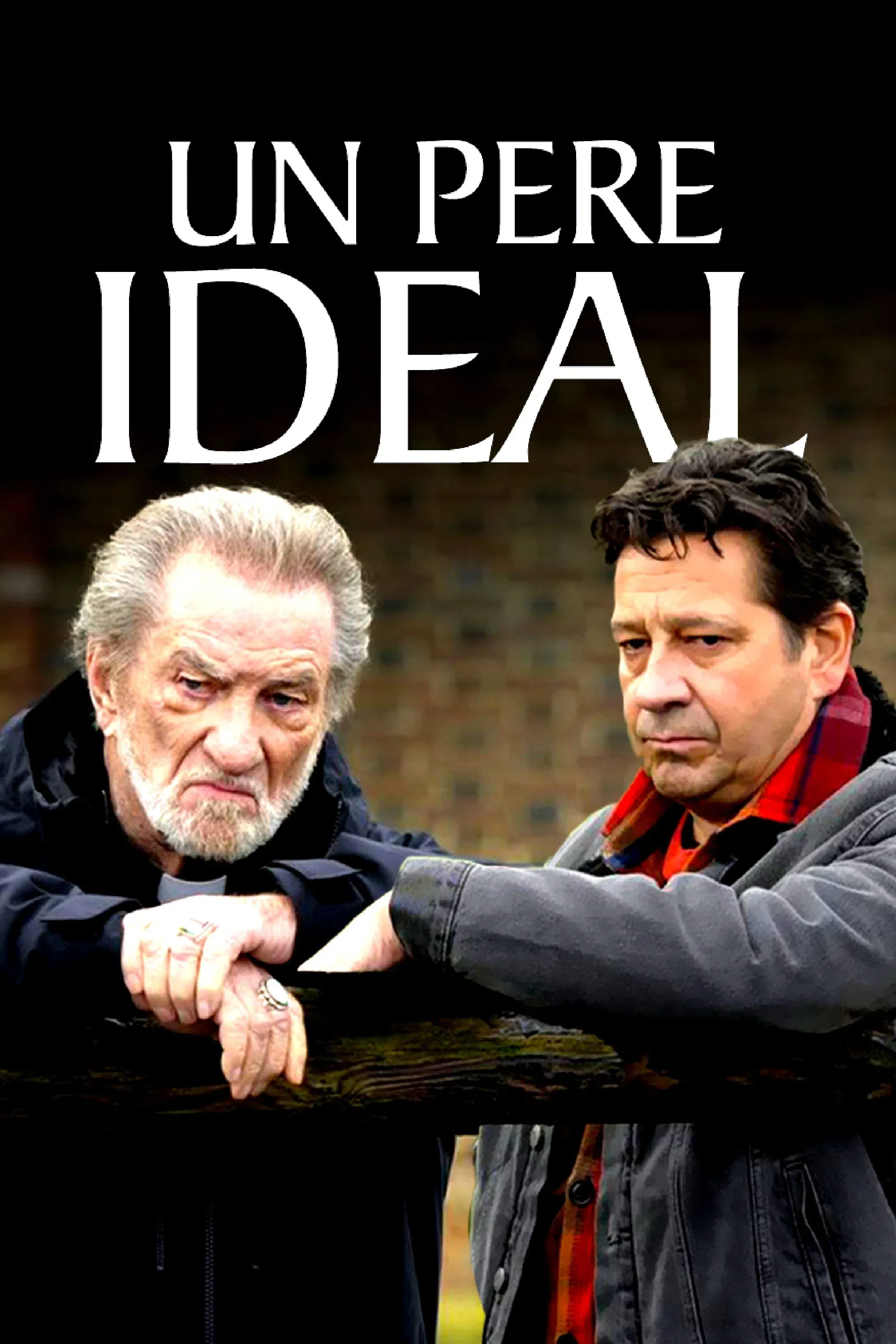 Poster of the movie An Ideal Father