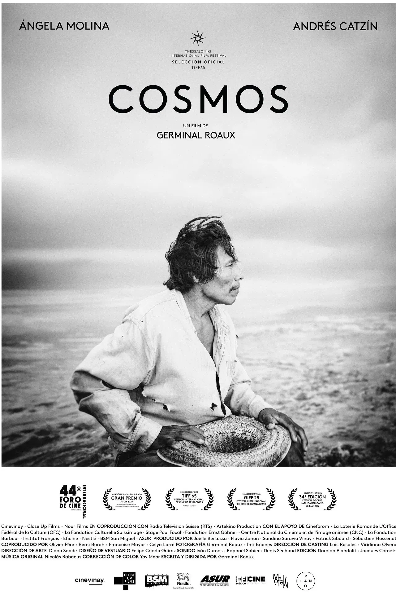 Poster of the movie Cosmos