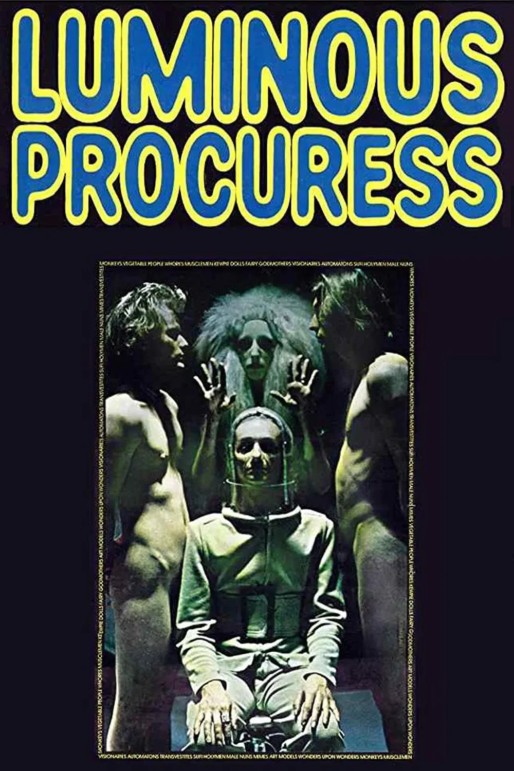 Poster of the movie Luminous Procuress