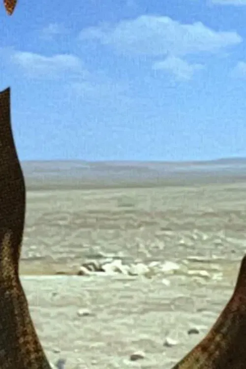 Poster of the movie At All Hours and None