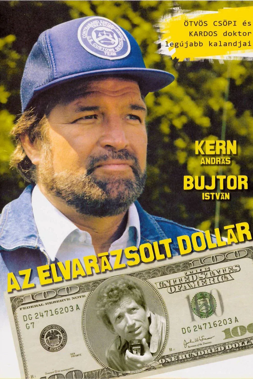 Poster for The Enchanted Dollar
