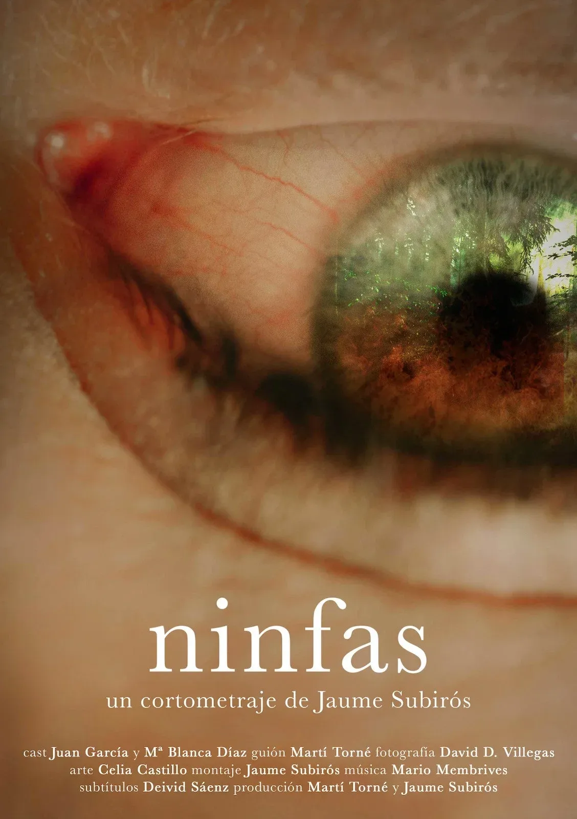 Poster for Ninfas