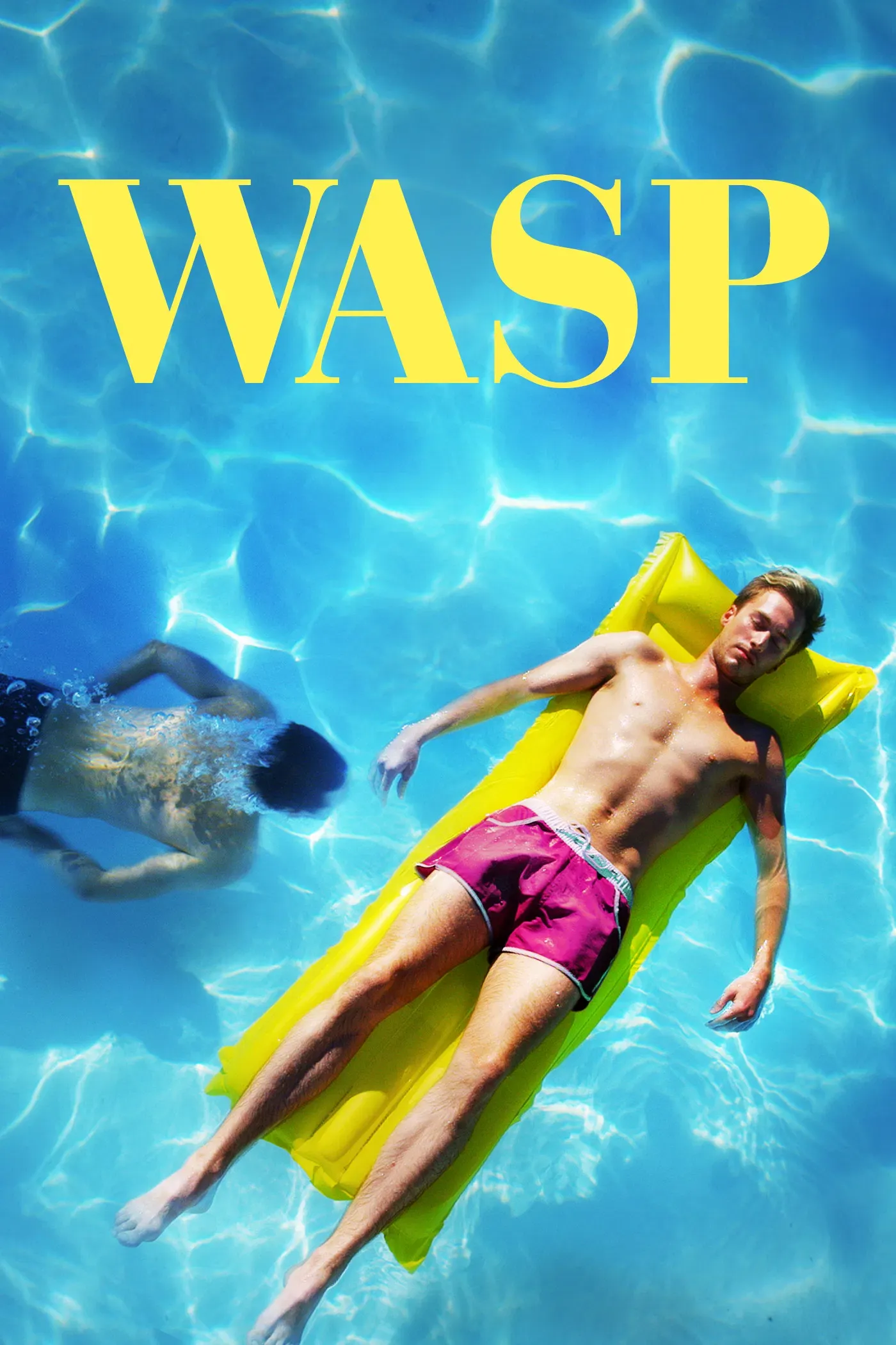 Poster of the movie Wasp