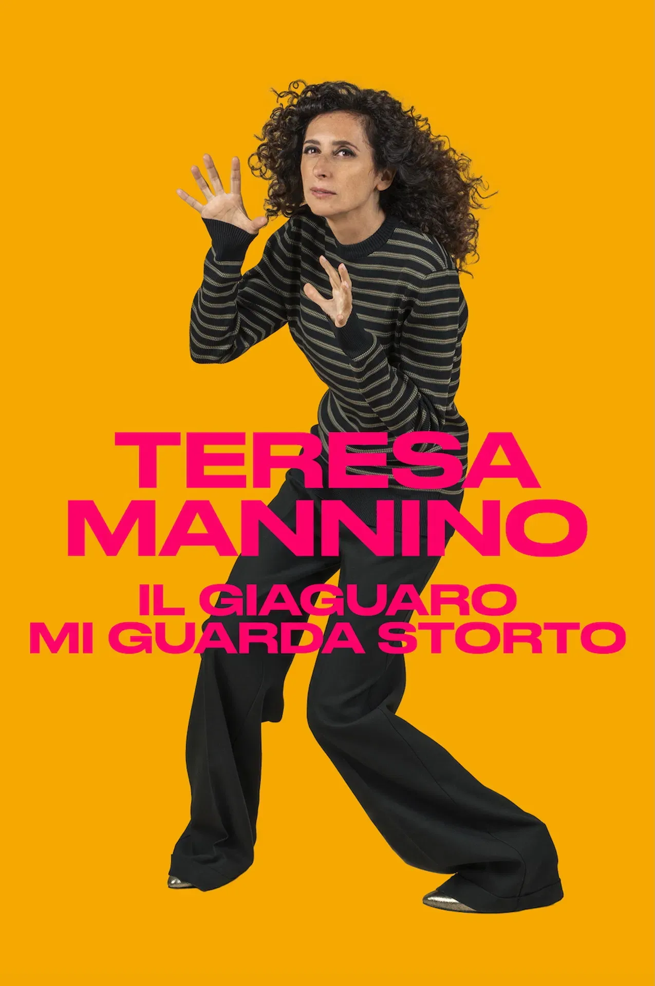 Poster of Il giaguaro mi guarda storto