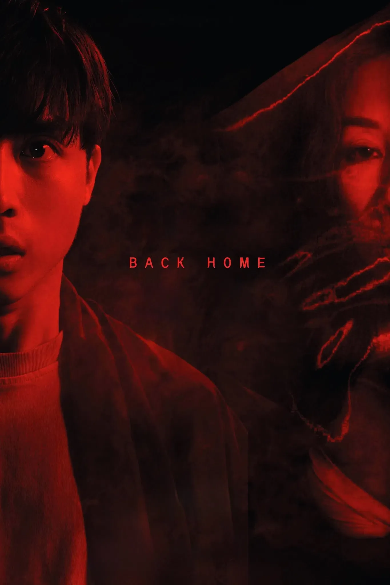 Poster of the movie Back Home