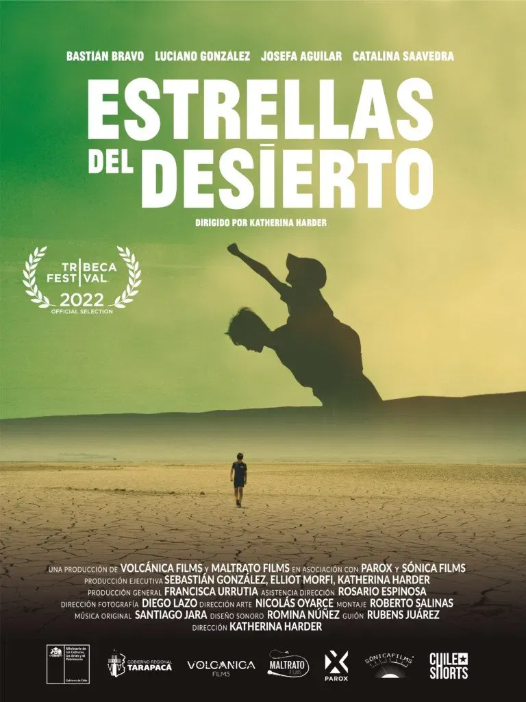 Poster of the movie Desert Lights