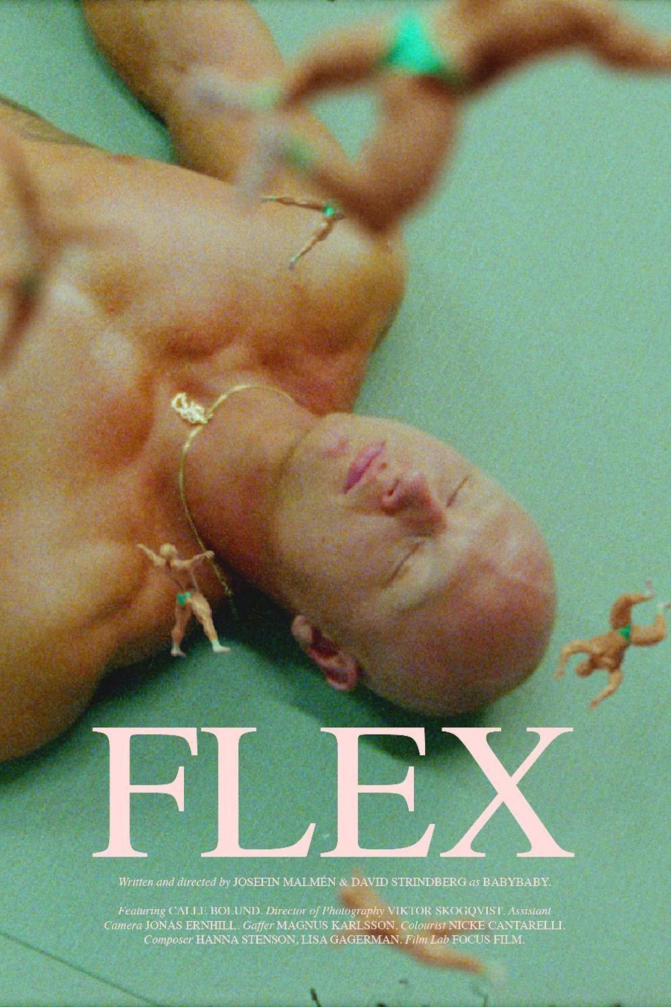 Poster of the movie Flex