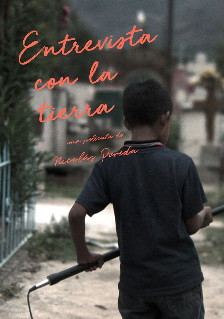 Poster of the movie Interview with the Earth