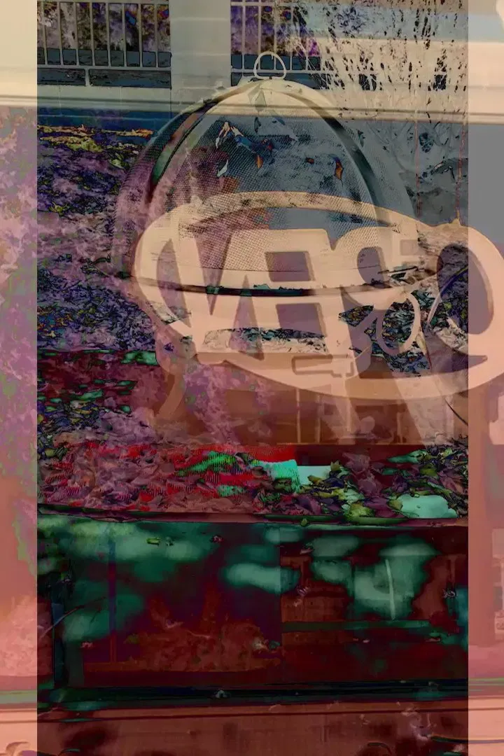 Poster of the movie Questioning, Requesting