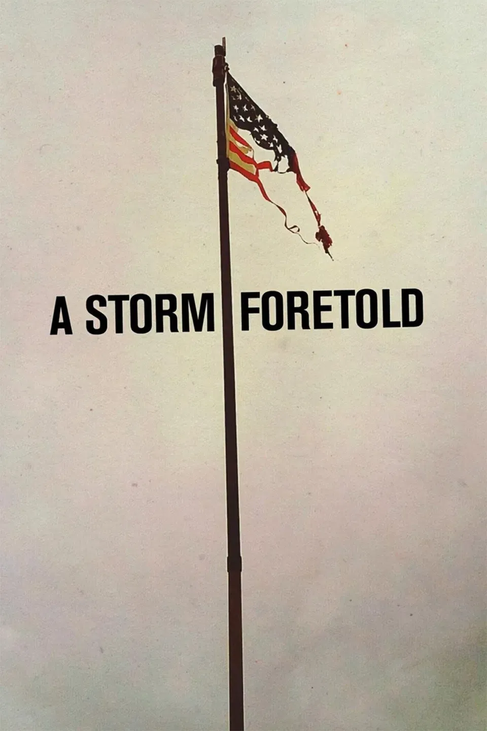 Poster of the movie A Storm Foretold: Det amerikanske oprør