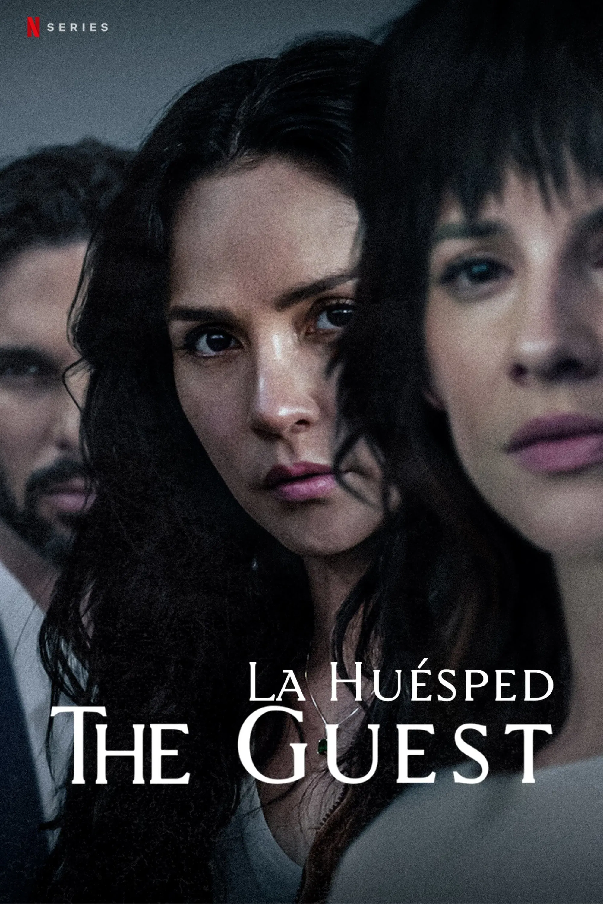 Poster of The Guest