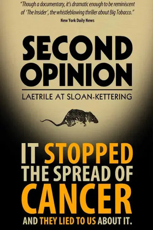 Poster of the movie Second Opinion