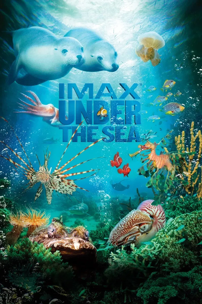 Poster of the movie Under the Sea 3D