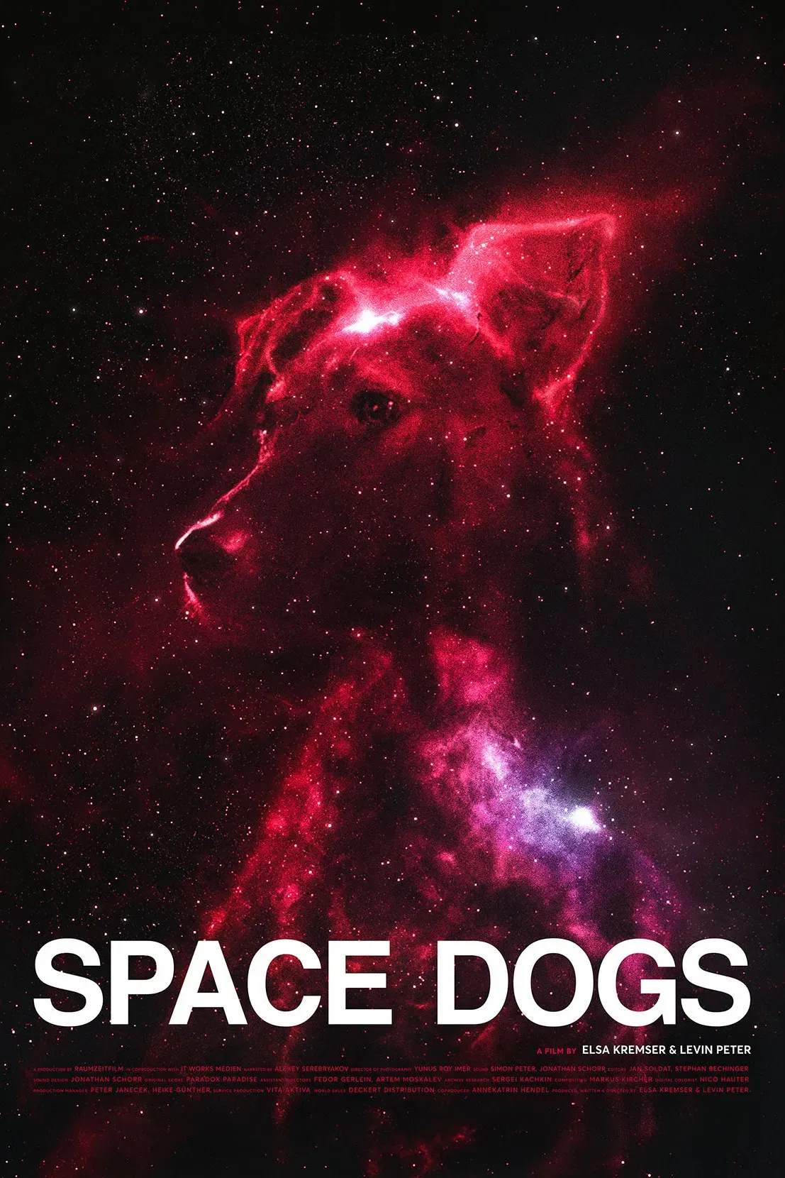 Poster of the movie Space Dogs
