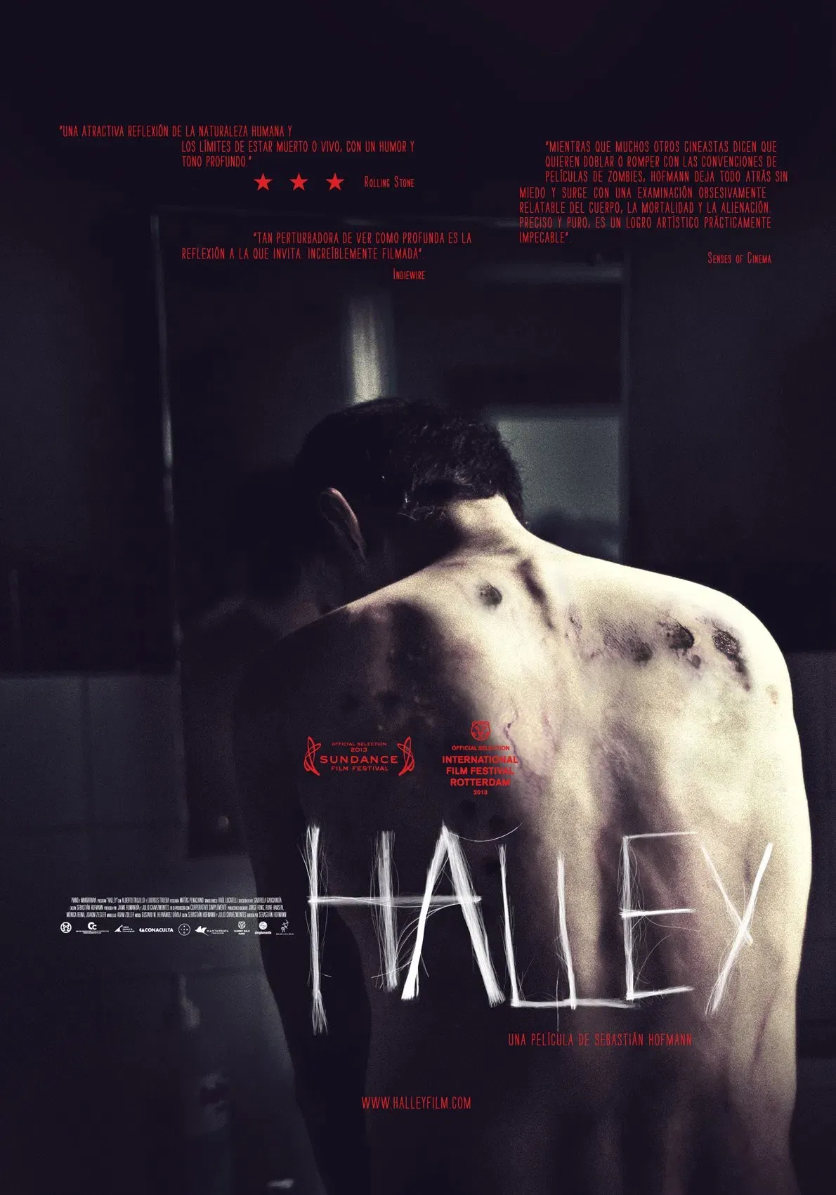 Poster of the movie Halley