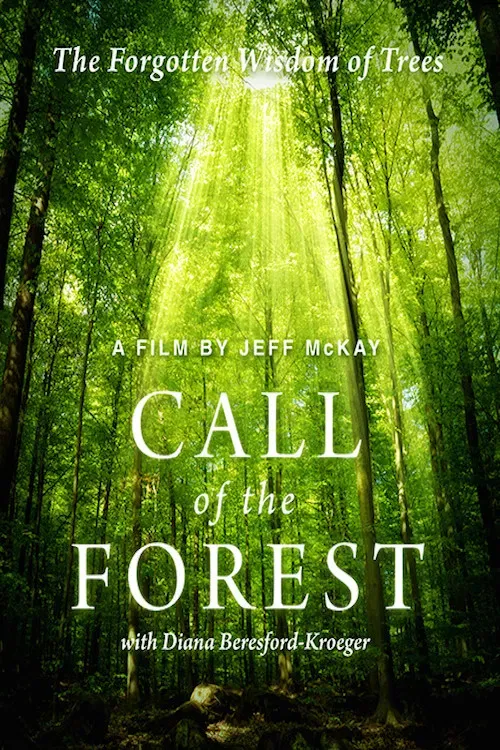 Poster of the movie Call of the Forest: The Forgotten Wisdom of Trees