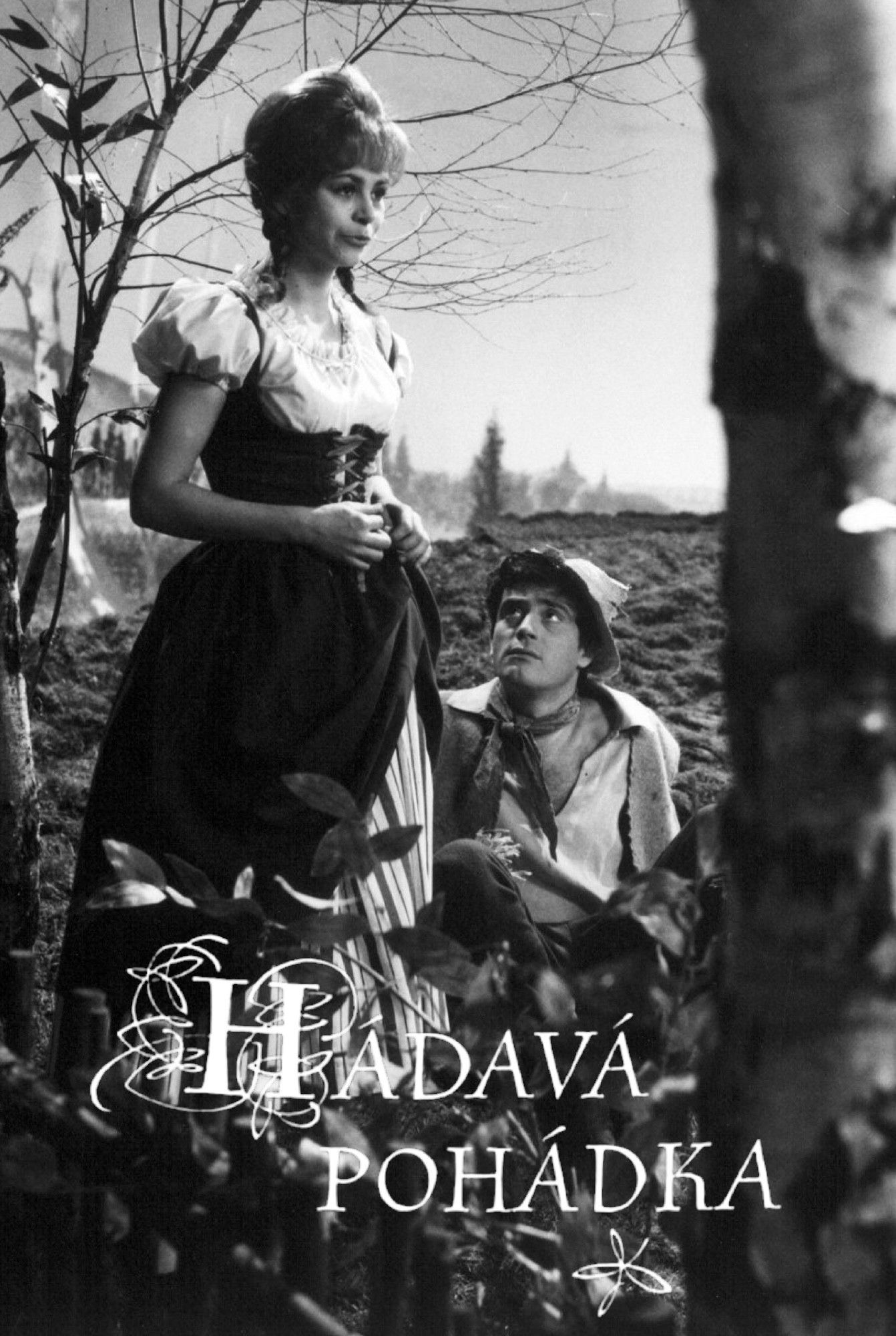 Poster for Hádavá pohádka