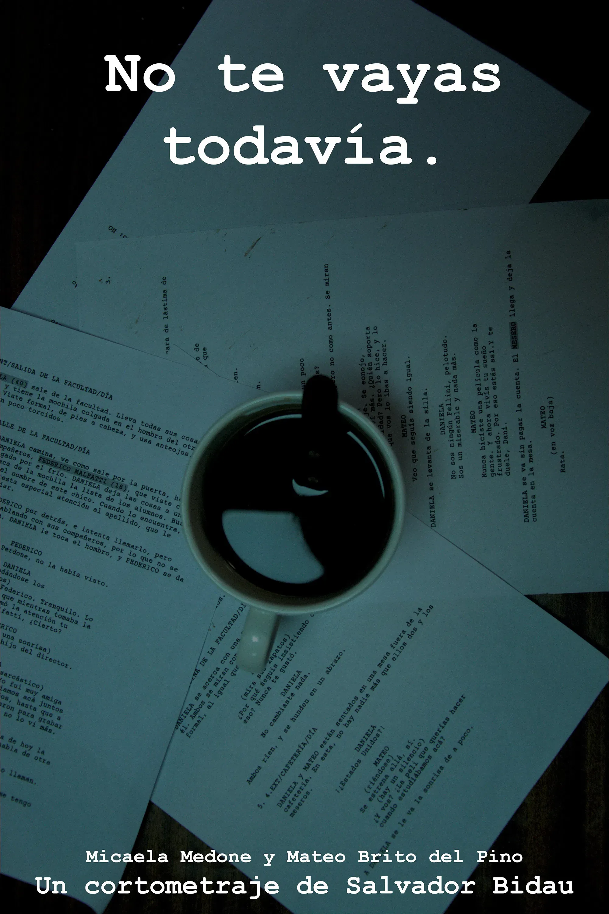 Poster of the movie No te vayas todavía.