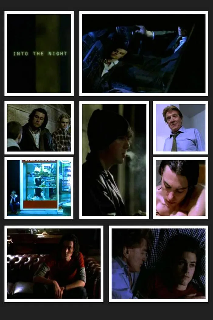 Poster of the movie Into the Night