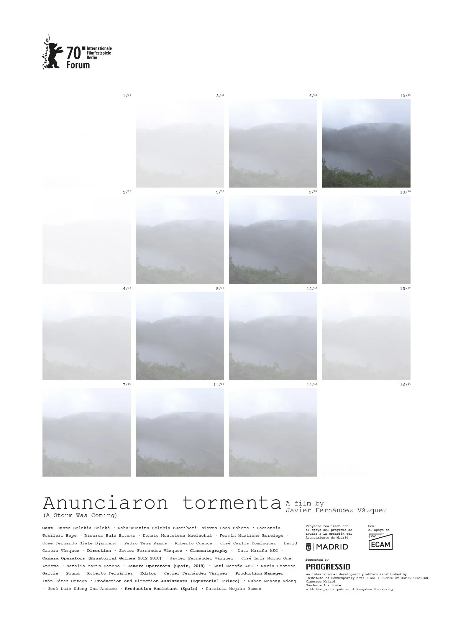 Poster for A Storm Was Coming