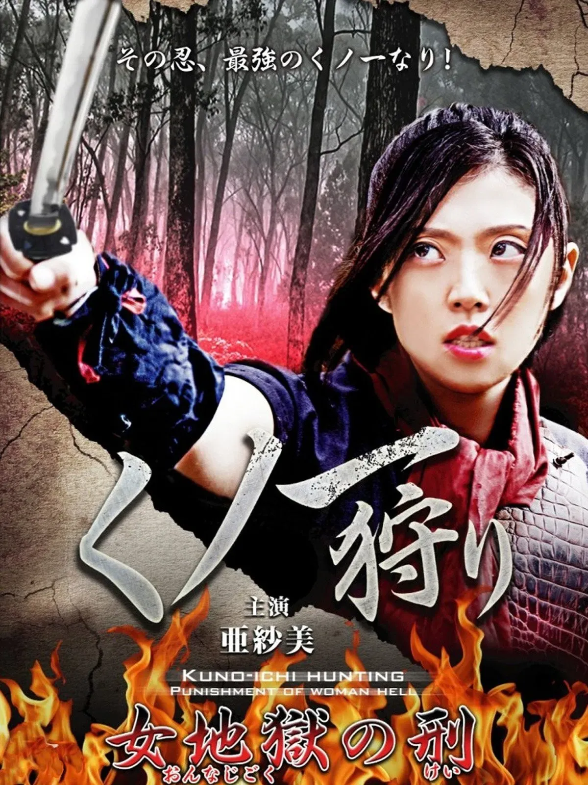 Poster of the movie Kunoichi Hunters