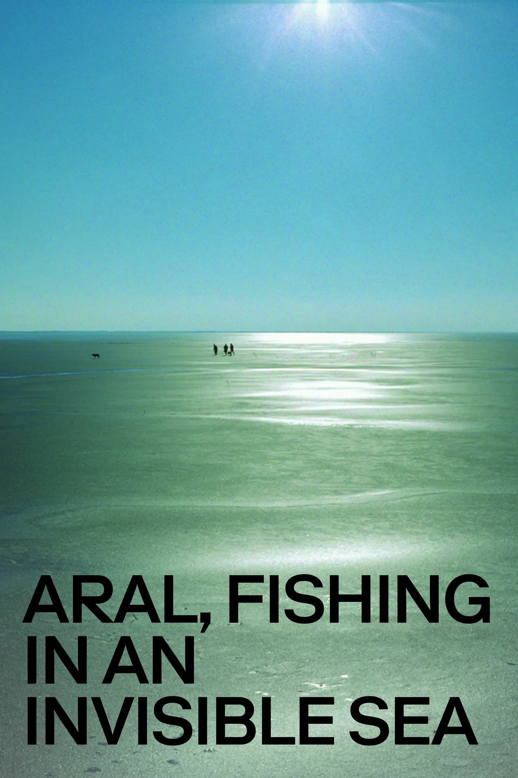 Poster of the movie Aral, Fishing in an Invisible Sea