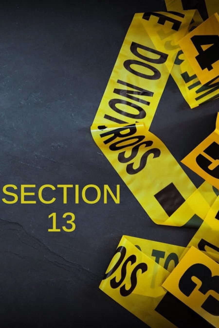 Poster of Section 13