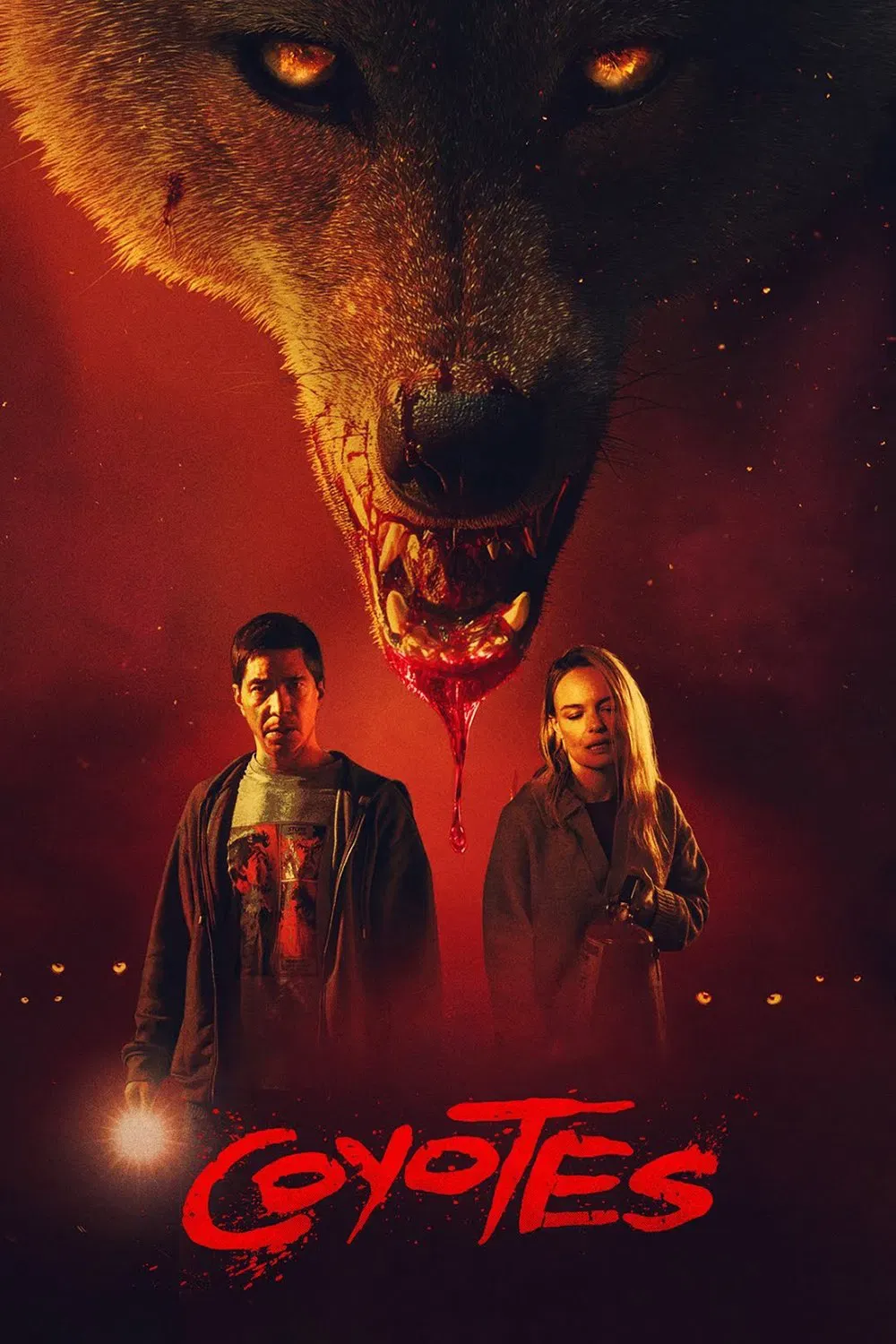 Poster of the movie Coyotes