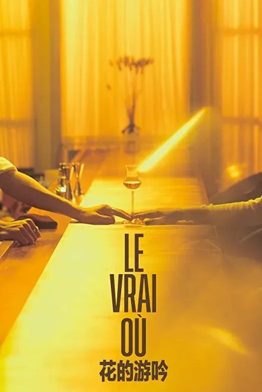 Poster of the movie Le Vrai Où