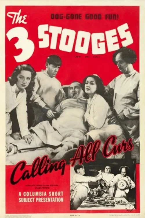 Poster of the movie Calling All Curs