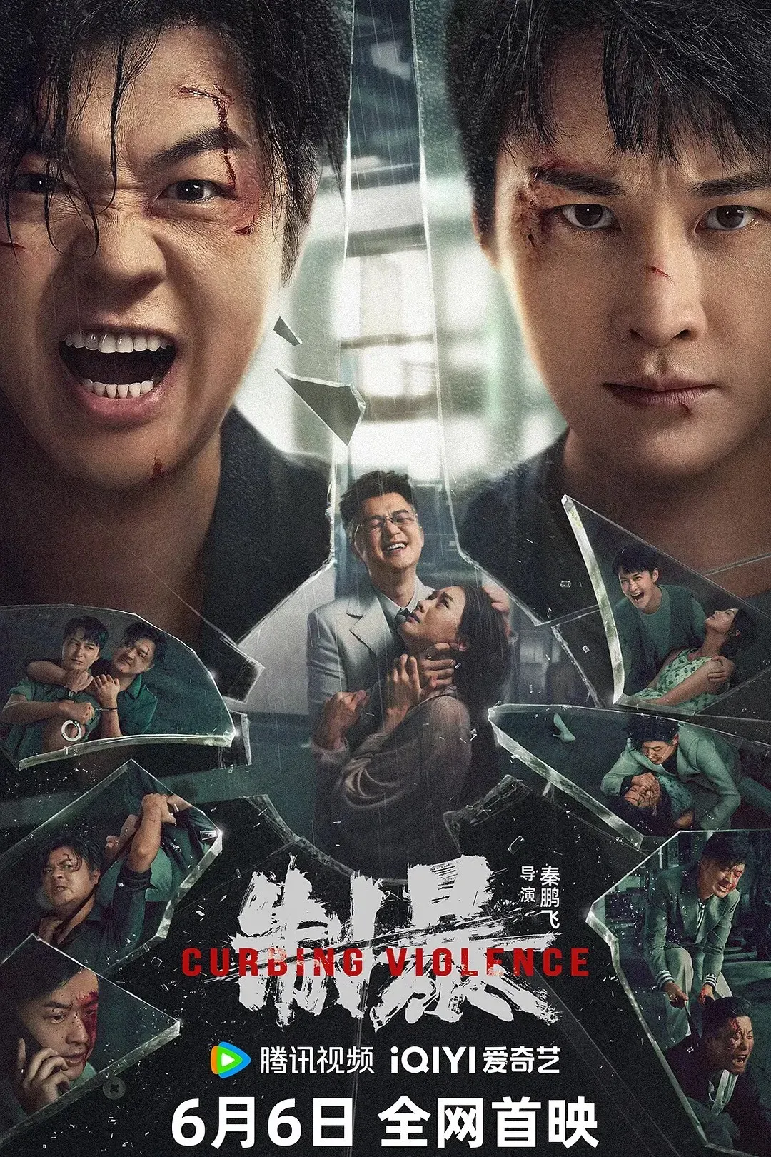 Poster of the movie Curbing Violence
