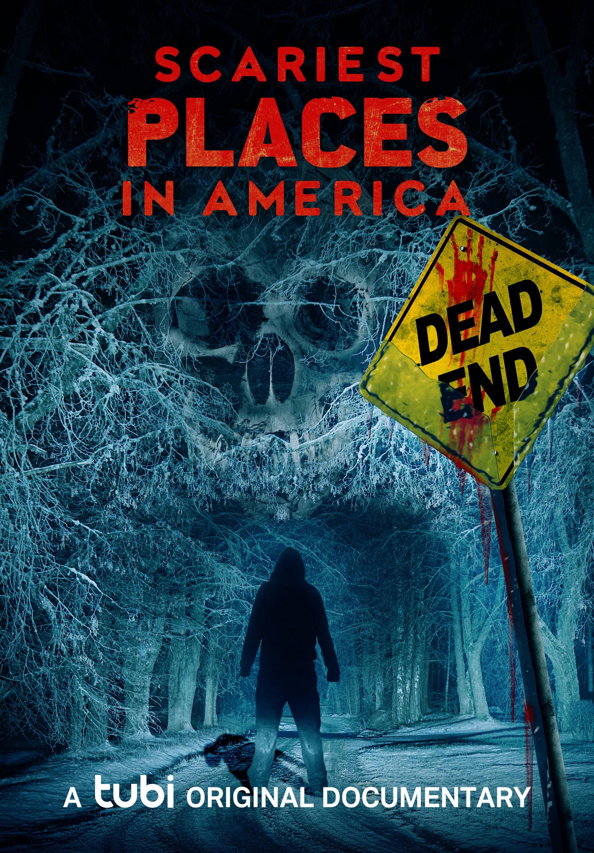 Poster of the movie Scariest Places in America