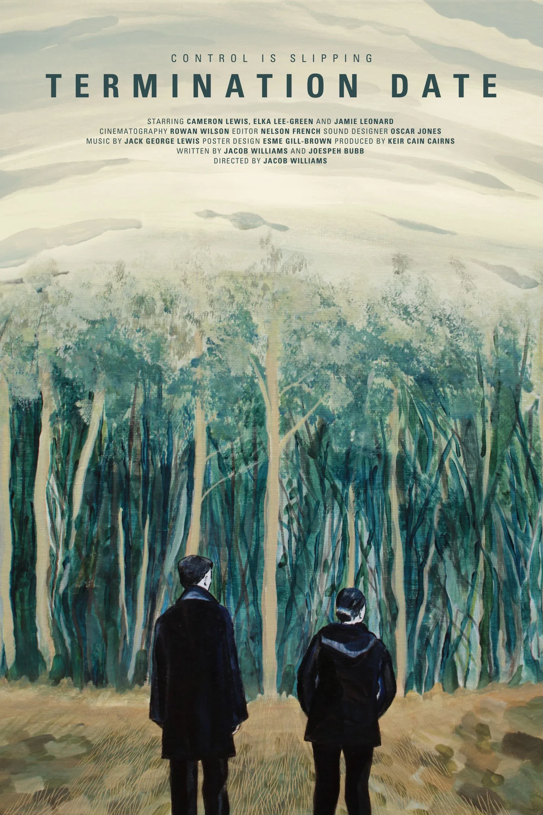 Poster for Termination Date