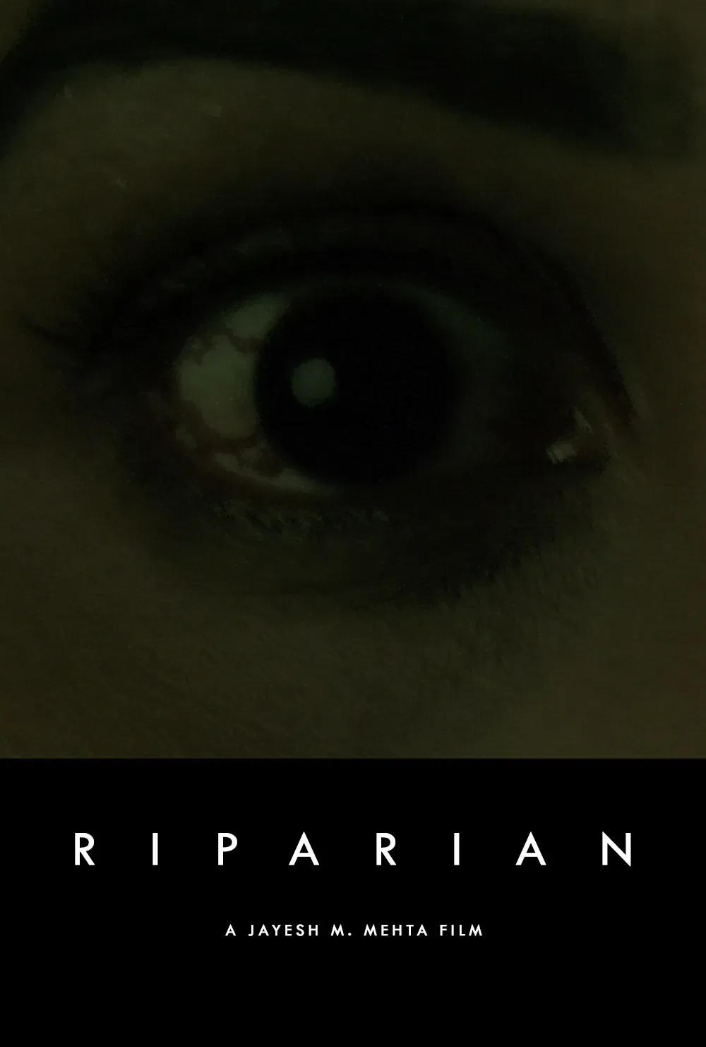 Poster of the movie Riparian