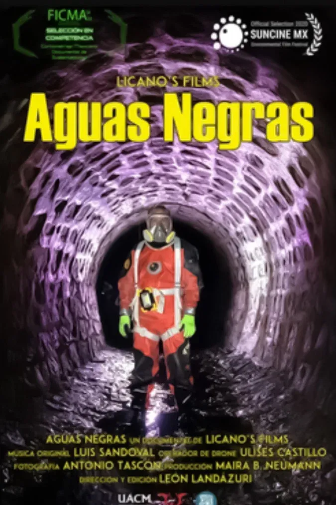 Poster for Aguas Negras