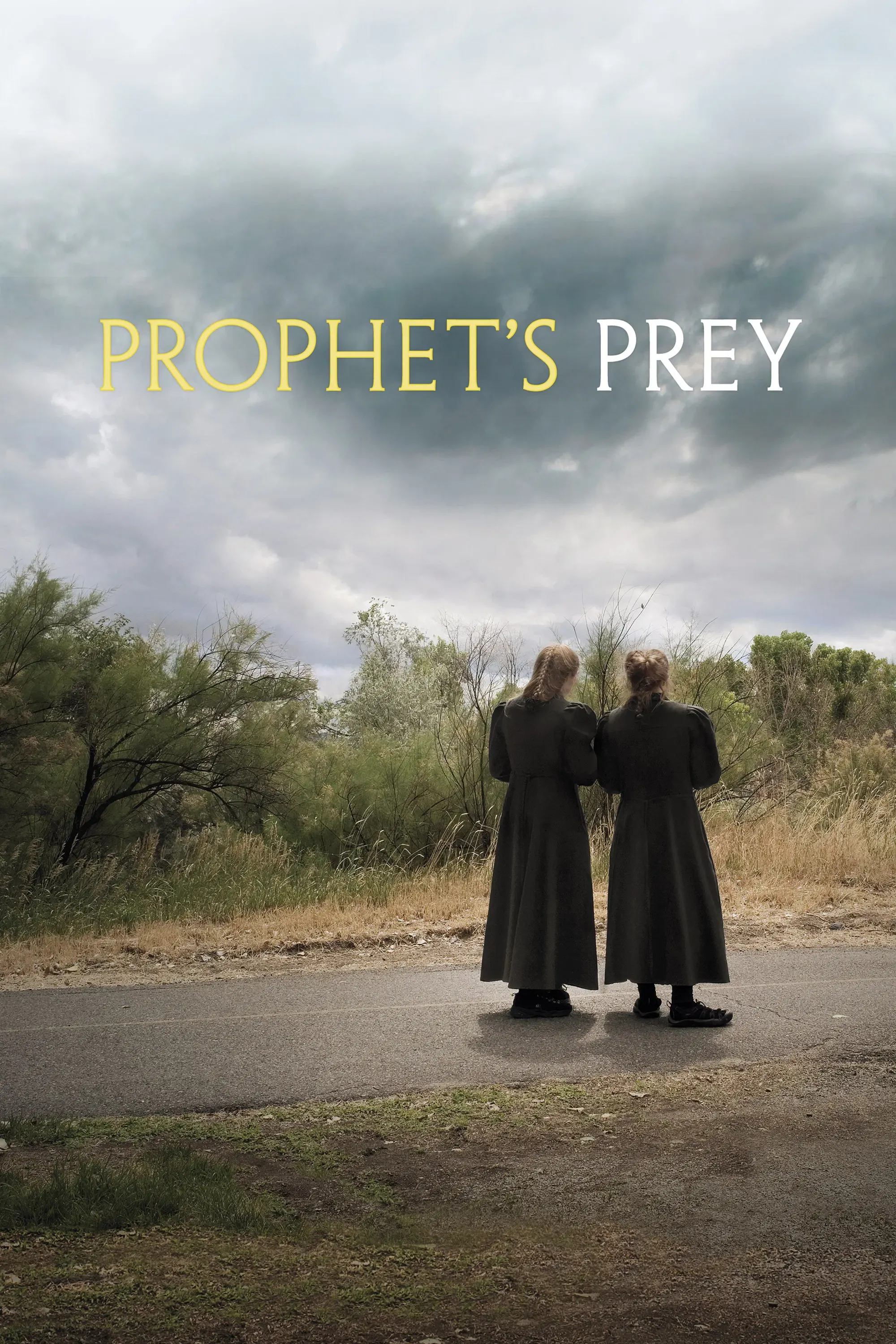 Poster of the movie Prophet's Prey