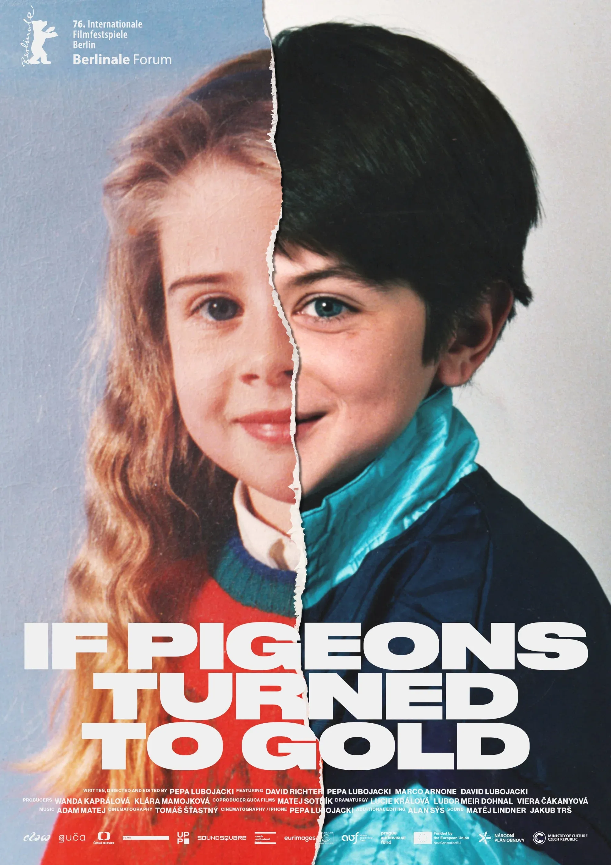 Poster for If Pigeons Turned to Gold