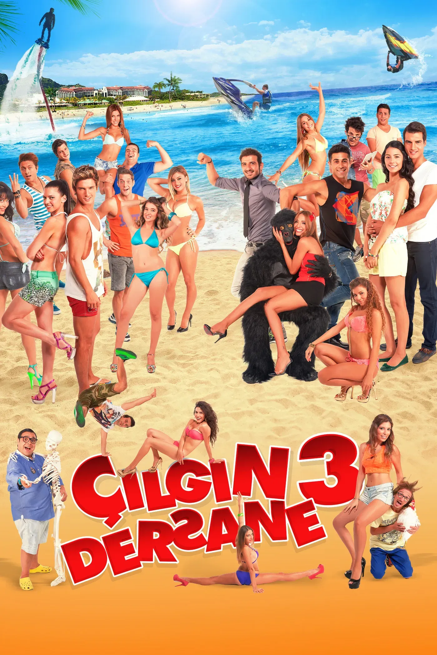 Poster of the movie Çılgın Dersane 3